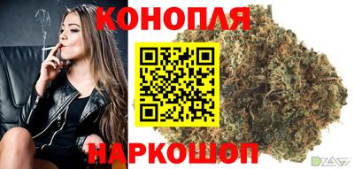 стаф Бузулук