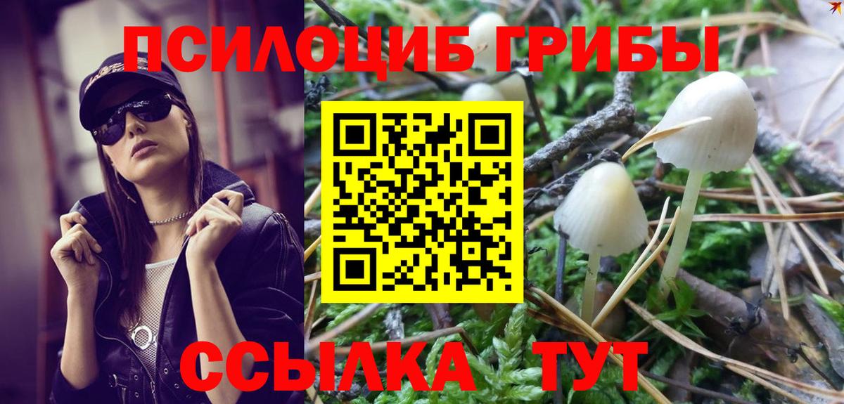 Псилоцибиновые грибы GOLDEN TEACHER Усть-Кут