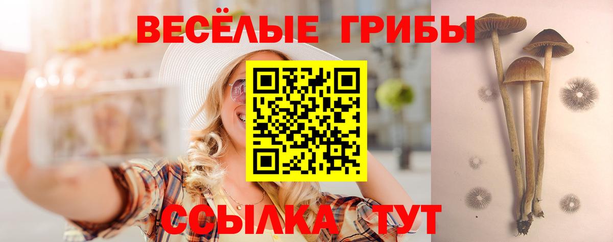 Усть-Кут  Галлюциногенные грибы мицелий  Вход с VPN 